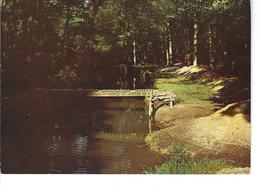 44 - LE GAVRE - T.Belle Vue Du Sous Bois " La Maillardais " - Passerelle En Bois - Le Gavre