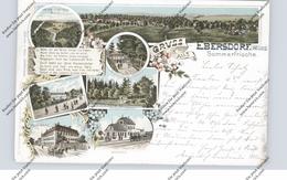 0-6555 SAALBURG - EBERSDORF, Lithographie 1897, Bahnhof, Pensionat, Schloß... Bahnpost Triptis-Blankenstein 357 - Schleiz