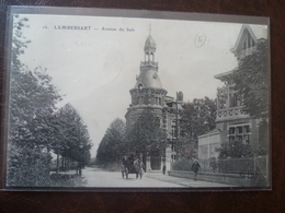 LAMBERSART    Avenue Du Bois        édit: E.L.D. - Lambersart