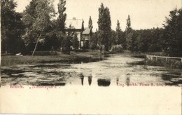 Nederland, BUSSUM, Nassaupark (1900s) Ansichtkaart - Bussum
