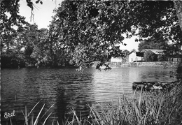 NANTIAT      ENVIRONS   ETANG ET MOULIN DE QUEROIX - Nantiat