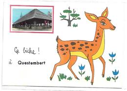 Ca Biche à QUESTEMBERT - Questembert