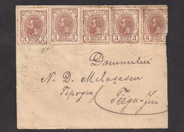 Romania Wheat Ear Cover 1895 From Petresti De Sus To Tg. Jiu, Franked 5x3 Bani Brown, Extremelly Rare! - Lettere