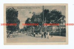 CASTELLAMARE ADRIATICO - VIALE DEI PINI  F/PICCOLO VIAGGIATA 1909?  BELLA ANIMAZIONE - Pescara