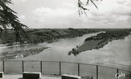 CHAMPTOCEAUX VUE SUR LA LOIRE L'ILE NEUVE - Champtoceaux