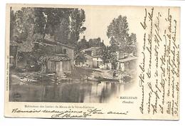 MAILLEZAIS - Habilitations Des Huttiers Du Marais De La Sèvre-Niortaise - Maillezais