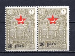 1932 TURKEY SURCHARGE ERROR -  IN AID OF THE TURKISH SOCIETY FOR THE PROTECTION OF CHILDREN SMALL LETTERS PAIR MNH ** - Timbres De Bienfaisance