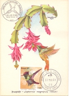 BRASIL POST CARD MAXIMUM  FAUNA BRASILERA  1981  (MAGG20216) - Cartoline Maximum