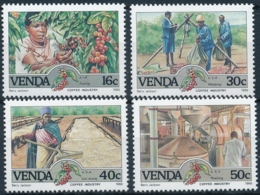 Venda - Michel 167-170 -  Kaffeeindustrie, Kaffeeernte, Kaffeeverarbeitung, Koffie Industrie - Postfrisch/** / MNH - Autres & Non Classés