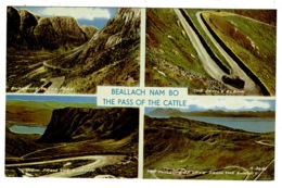Ref 1356 - Postcard - Beallach Nam Bo - The Pass Of Cattle - Wester Ross Scotland - Ross & Cromarty
