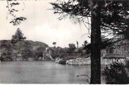 53 - BOURGNEUF LA FORET  Carrière Des BROSSES - CPSM Village (1.790 H) Dentelée Noir Blanc Format CPA - Mayenne - Sonstige & Ohne Zuordnung