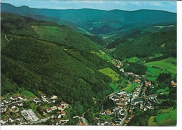 Bad Peterstal ( Renchtal) Das Kneipp Und Mineralbad Im Badischen Schwarzwald. Germany. B-2133 - Bad Peterstal-Griesbach