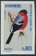 ANDORRA (1974) European Bullfinch. Imperforate. Scott No 229, Yvert No 241. - Sonstige & Ohne Zuordnung