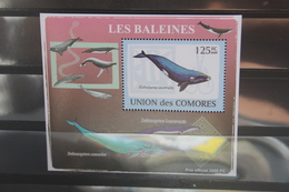 Wale, Comoren, Blockausgabe, Gezähnt, Ungebraucht - Baleines