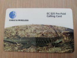 ANTIGUA  $ 25,- GROUND LIZARD   ANU-06     Prepaid      Fine Used Card  **2054 ** - Antigua Et Barbuda