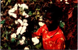 Black Americana Picking Cotton - Black Americana