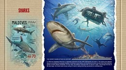 Maldives 2018, Animals, Sharks, Diving, BF - Duiken