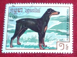 Doberman (Chien/Animaux) - Kampuchea - 1987 - YT 722 - Oblitéré - Kampuchea