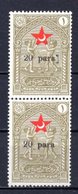 1932 TURKEY SURCHARGE ERROR -  IN AID OF THE TURKISH SOCIETY FOR THE PROTECTION OF CHILDREN SMALL LETTERS - Timbres De Bienfaisance
