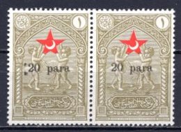 1932 TURKEY SURCHARGE ERROR -  IN AID OF THE TURKISH SOCIETY FOR THE PROTECTION OF CHILDREN SMALL LETTERS - Charity Stamps