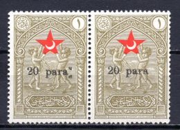 1932 TURKEY SURCHARGE ERROR -  IN AID OF THE TURKISH SOCIETY FOR THE PROTECTION OF CHILDREN SMALL LETTERS - Charity Stamps