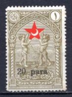 1932 TURKEY SURCHARGE ERROR -  IN AID OF THE TURKISH SOCIETY FOR THE PROTECTION OF CHILDREN SMALL LETTERS - Charity Stamps