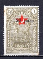 1932 TURKEY SURCHARGE ERROR -  IN AID OF THE TURKISH SOCIETY FOR THE PROTECTION OF CHILDREN SMALL LETTERS - Timbres De Bienfaisance
