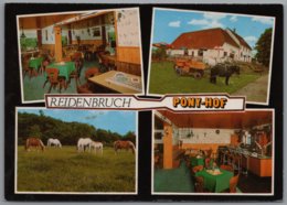 Bad Hönningen Reidenbruch - Pension Restaurant Pony Hof - Bad Hönningen