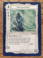 Middle Earth CCG LOTR, The Wizards Blue Border Unlimited: Drúadan Forest, Mint / Near Mint - Other & Unclassified