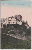 Gruss Aus WEINFELDEN (Suisse) - Schloss Château - Weinfelden