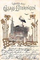 STRASBOURG-STRASSBURG-67-Bas-Rhin-Nid De Cigognes Cathédrale-Dessin-Illustrateur Anonyme Edition A La Civette, Mulhouse - Strasbourg