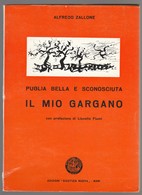 IL MIO GARGANO PUGLIA BELLA E SCONOSCIUTA - Turismo, Viaggi