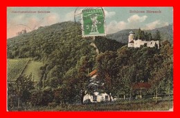 CPA ARLESHEIM (Suisse)  Schloss Birseck Et Reichensteiner Schloss..*3721 - Arlesheim