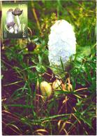 Belarus:Maxi Card, Mushrooms, Coprinus Comatus, 1999 - Mushrooms