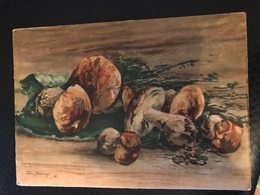 Yakovlev "Mushrooms" - OLD PC 1956  - Mushroom - Champignon Boletus - Pilze