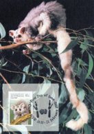 Australia 1990 Animals Of The High Country 41c Greater Glider Maximum Card - - Maximumkarten (MC)