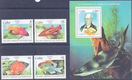 1999. Cuba, Marine Life, 4v + S/s, Mint/** - Ungebraucht