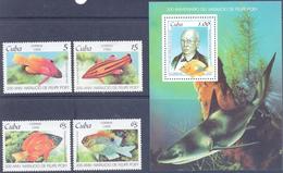 1999. Cuba, Marine Life, 4v + S/s, Mint/** - Neufs