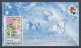 Hong Kong - 2001 HONG KONG '01 No5 Block MNH__(TH-12853) - Blocs-feuillets