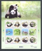 Hong Kong - 2008 Great Pandas Kleinbogen MNH__(THB-1795) - Blocs-feuillets