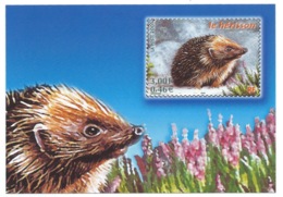 CPM TIMBRE POSTE LE HERISSON ANIMAUX DES BOIS 2001 - Timbres (représentations)