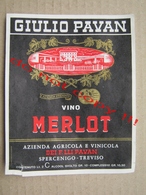 GIULIO PAVAN - VINO MERLOT / Old Label ( 1971 ) - Andere & Zonder Classificatie
