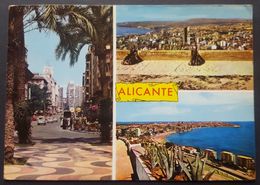 Spain - Alicante. The City View - Alicante