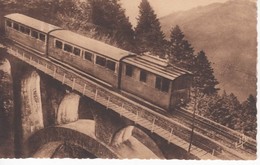 462 31   SUPERBAGNERES  LE CHEMIN DE FER A CRÉMAILLÈRE  Passant Sur Le VIADUC  (train Vagons) - Superbagneres