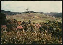 Erbach I. Odenwald  -  DJH Spendenkarte  -  Ansichtskarte Ca.1975    (12080) - Erbach