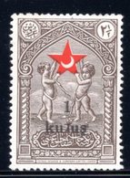 1938 - 1939 TURKEY ERROR P.Y.S. OVERPRINT 2ND ISSUE STAMP IN AID OF THE TURKISH SOCIETY FOR THE PROTECTION OF CHILDREN - Charity Stamps
