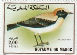 Maroc. Timbre 1989 Yvert Et Tellier N° 1073. Faune. Oiseaux. Traquet Du Désert. - Grey Partridge