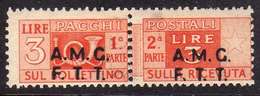 TRIESTE A 1947 -1948 AMG-FTT OVERPRINTED PACCHI POSTALI PARCEL POST LIRE 3 MNH - Colis Postaux/concession