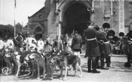 78-RAMBOUILLET- LE RALLYE DE BONNELLES, ANCIEN AQUIPAGE D'UZES , BENEDICTION DES CHIENS - Rambouillet