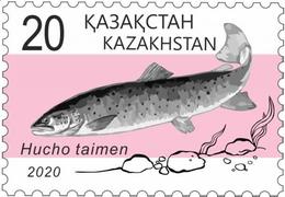 Kazakhstan 2020. Fish.New!!! - Fishes